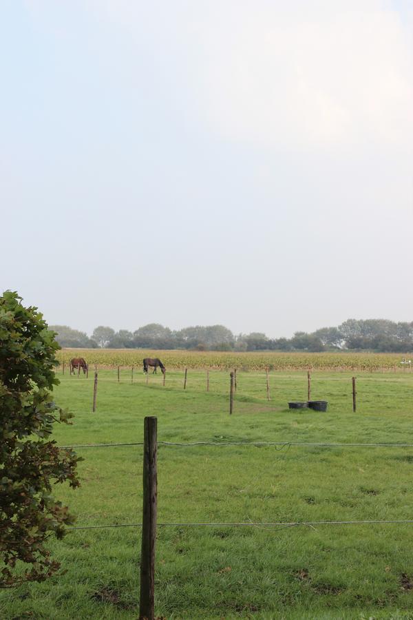 Gastenverblijven Boerderij Het Driespan Middelburg Exterior foto